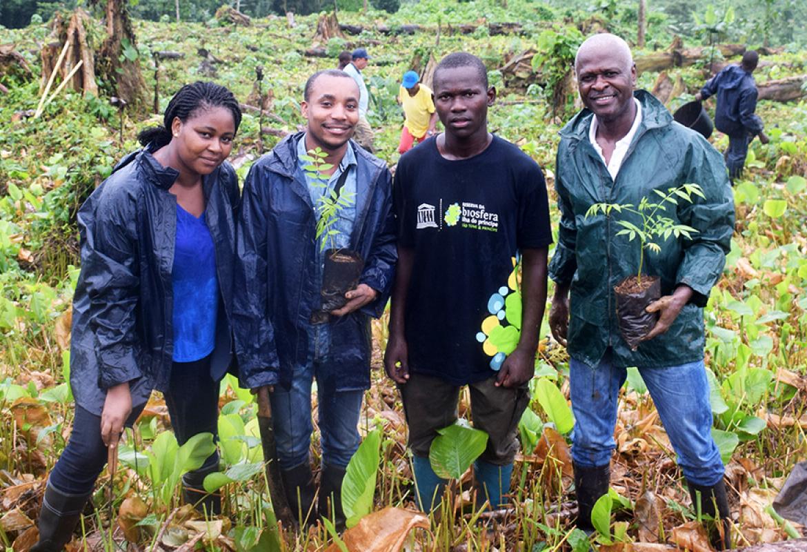 Projecto energia STP