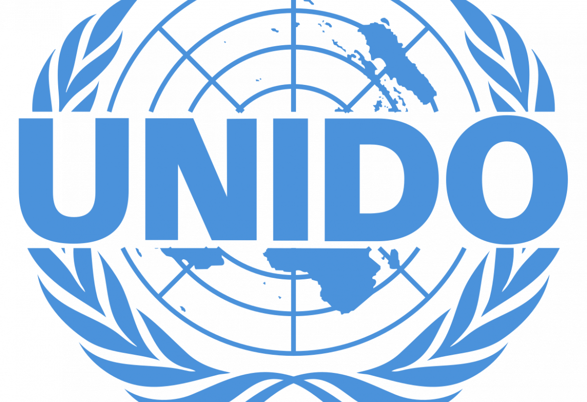 UNIDO logo