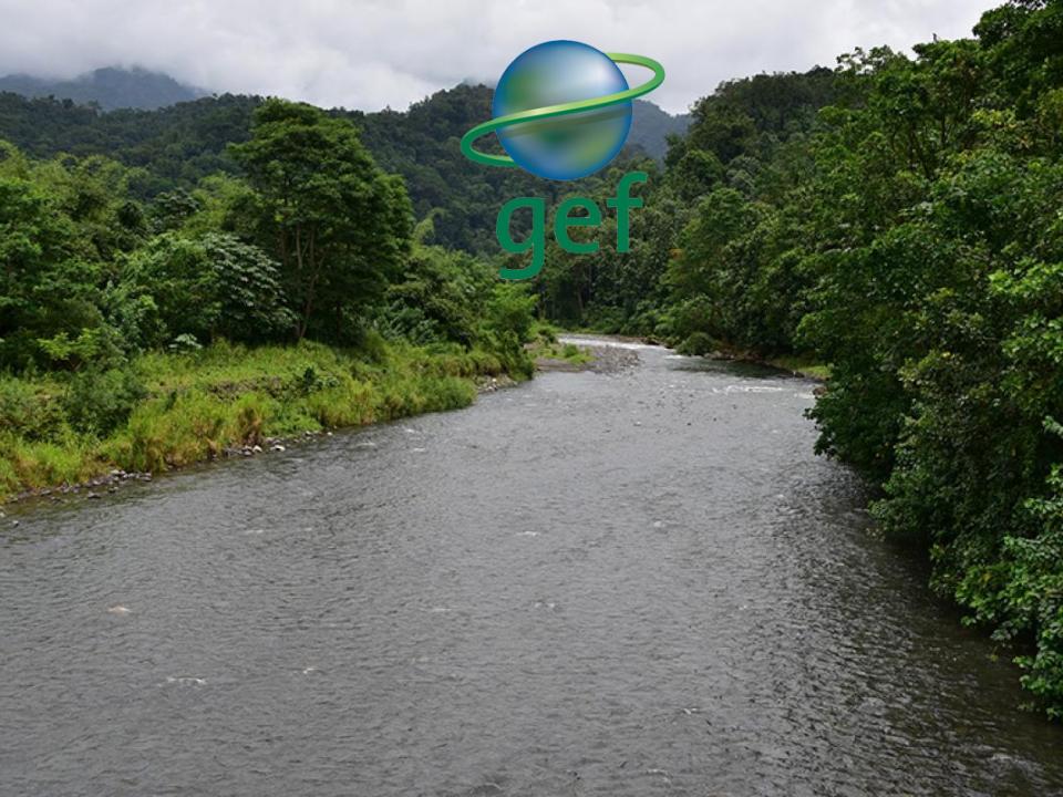 GEF project
