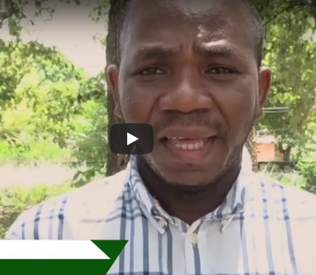 Alerta verdes florestas video screenshot