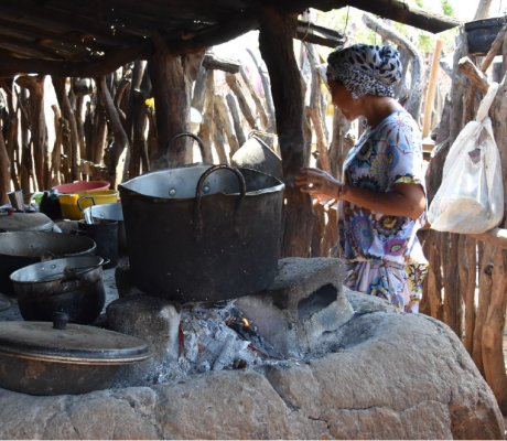 "Cozinha limpa"